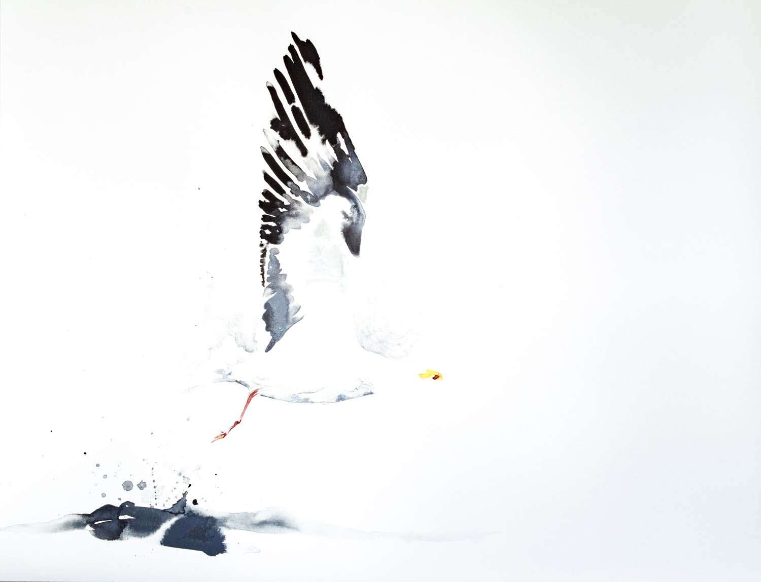 Image by Eilbhe Donovan